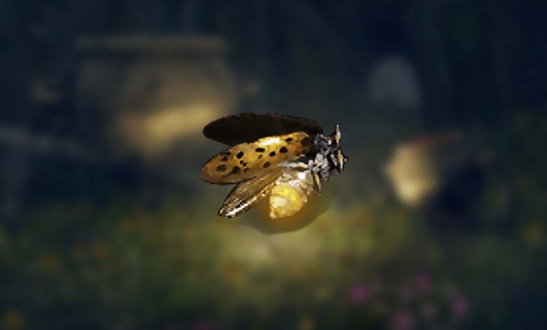 Gold Firefly in Elden Ring